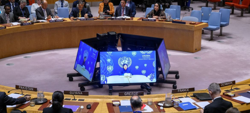 Специальный представитель Генерального секретаря по Афганистану Роза Отунбаева (на экране) проводит брифинг для Совета Безопасности.
