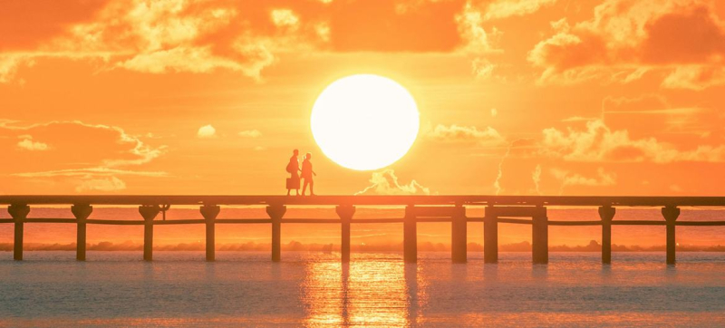 C 1990-х годов смертность от жары выросла на 23 процента и составляет в среднем 546 тысяч фатальных инцидентов в год.