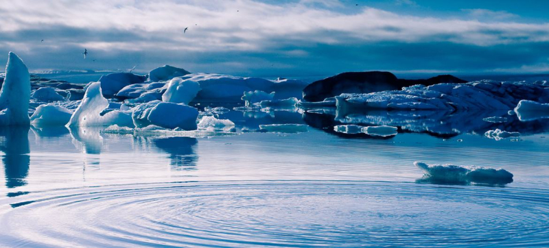 Площадь арктического льда после зимы этого года достигла самого низкого уровня за всю историю спутниковых наблюдений. 