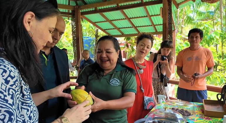 Председатель Генеральной Ассамблеи Анналена Бербок пробует какао с острова Комбу, недалеко от Белена.