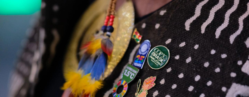 Делегат на Конференции ООН по климату в Белене, Бразилия.