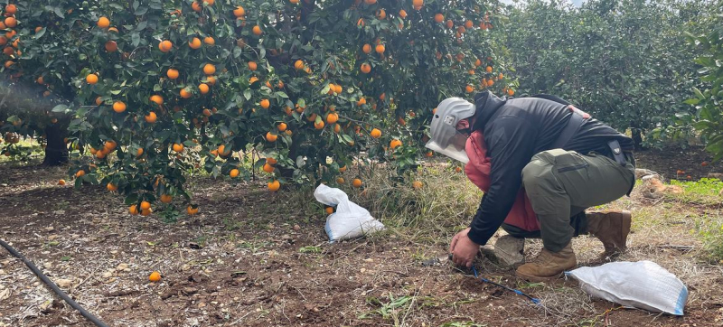 Договор о запрете противопехотных мин 1997 года переживает самый серьезный кризис за десятилетия.