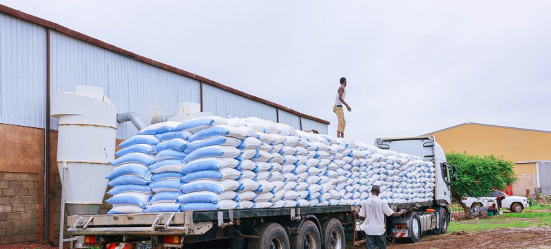 Поставка семян для поддержки жителей Кордофана и Дарфура в Судане.