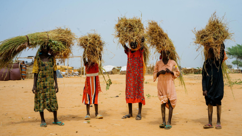 Лагерь для вынужденных переселенцев в Чаде.