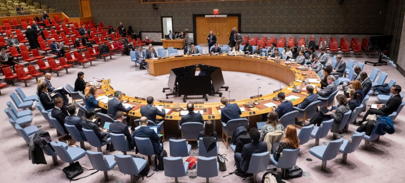 Заседание Совета Безопасности.