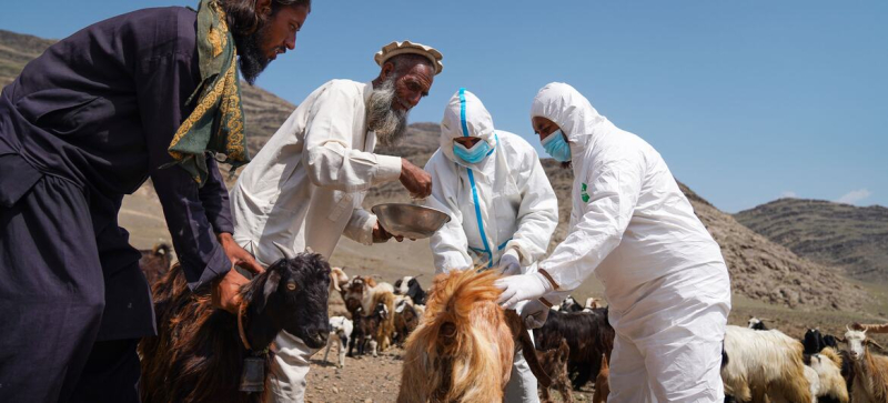 Главные новости дня | четверг: приоритеты ООН, вирус Нипах, Южный Судан, Афганистан