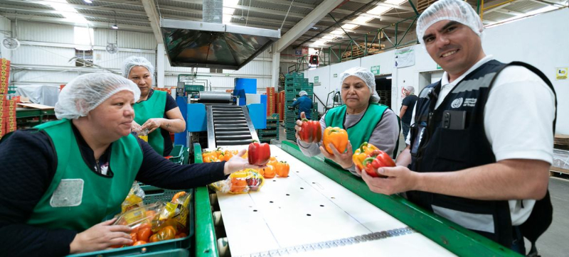 Глобальная экономика демонстрирует устойчивость, но торговые и бюджетные проблемы омрачают перспективы