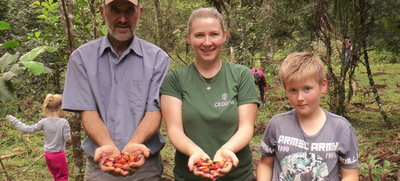 Мате: напиток, продлевающий жизнь леса