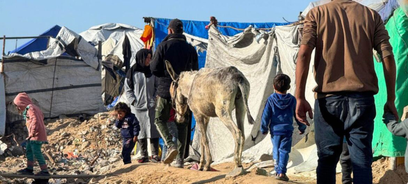 ООН предупреждает о росте гуманитарных рисков и хрупкости перемирия в Газе