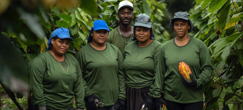 Городские районы будущего: мегаполисы Бразилии расширяются в гармонии с природой