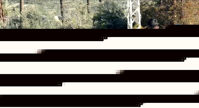 Ближний Восток: новые удары, рост перемещений и угрозы для систем здравоохранения