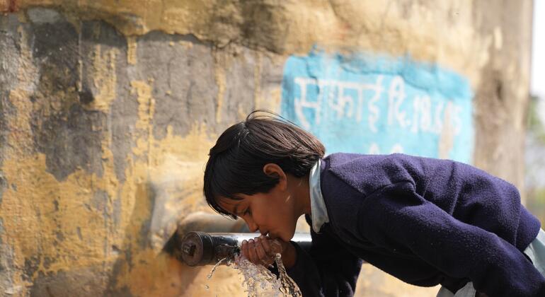 Доклад ООН: глобальный кризис в области водных ресурсов усугубляется гендерным неравенством