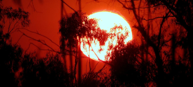 Главные новости дня | понедельник: климат, Ближний Восток, Украина, расизм