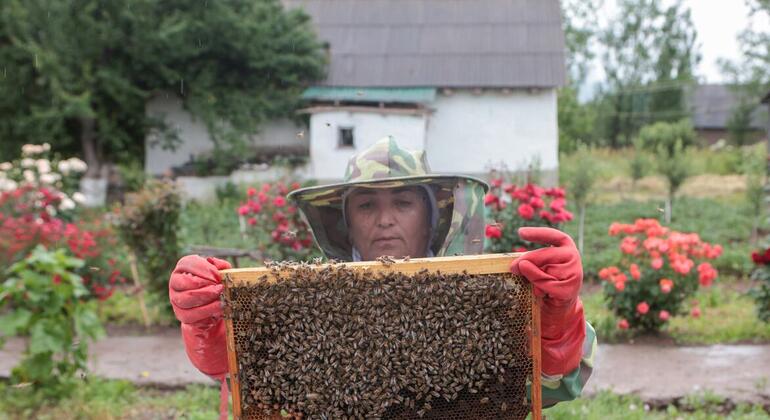 &laquo;Мы можем больше&raquo;: женщина, ставшая лидером среди местных фермеров в Таджикистане
