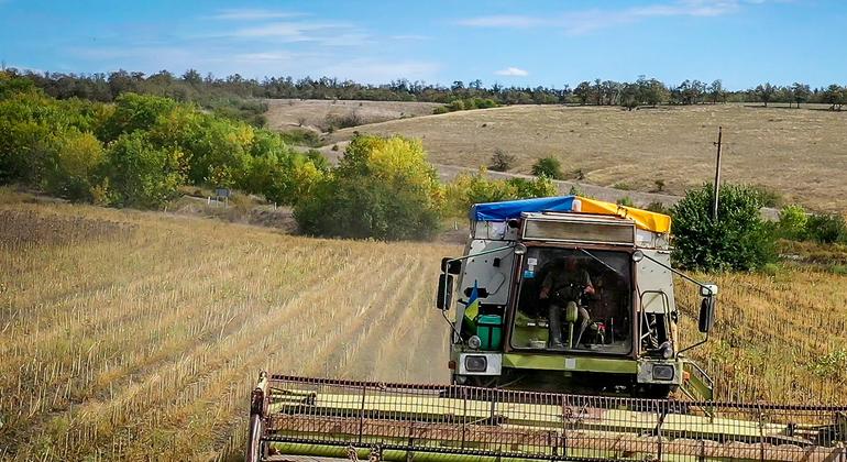 Сельское хозяйство остается спасательным кругом для украинских семей, несмотря на войну