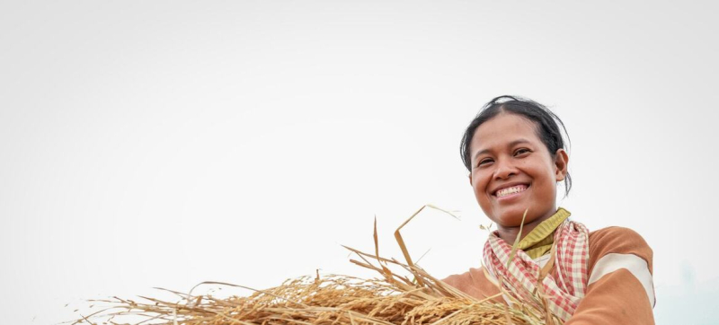 ФАО помогает адаптировать труд фермеров к условиям экстремальной жары