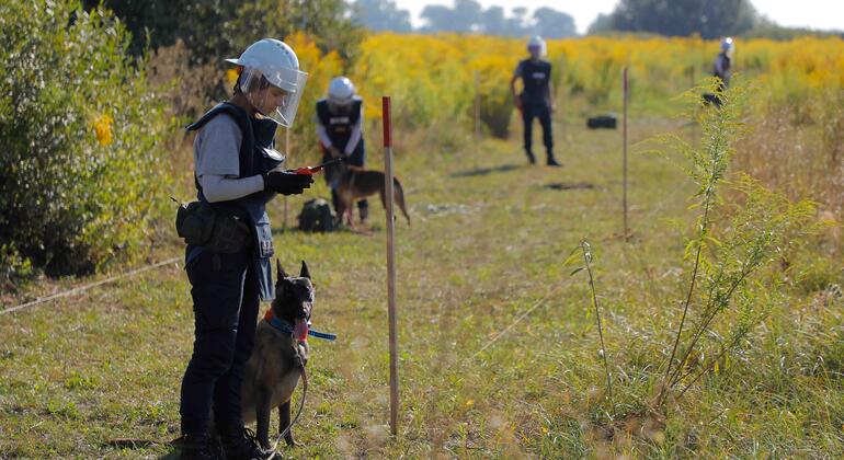 Невидимая угроза: как Украина борется с минами