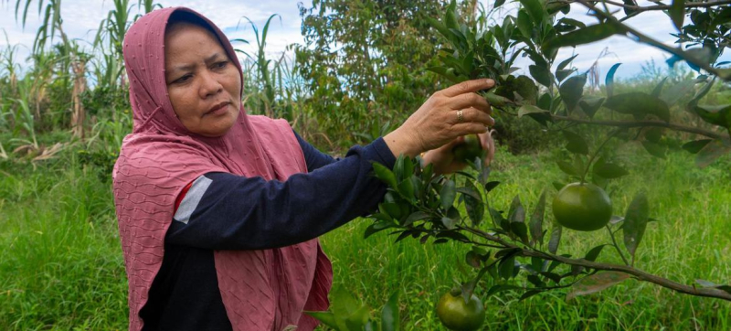 Новое исследование: лесной сектор обеспечивает работой 42 миллиона человек