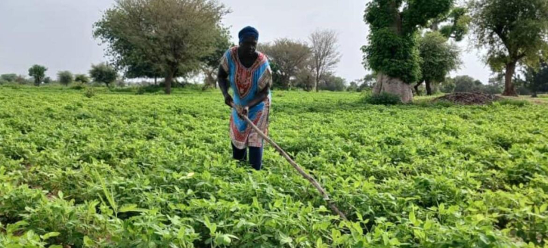 ООН: масштабы голода в Африке растут восьмой год подряд