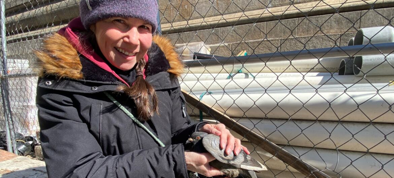 &laquo;Каждая птица важна&raquo;: как жители городов могут помочь защитить пернатых